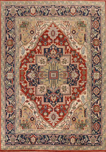 Geometric Heriz Serapi Indian Area Rug 9x12