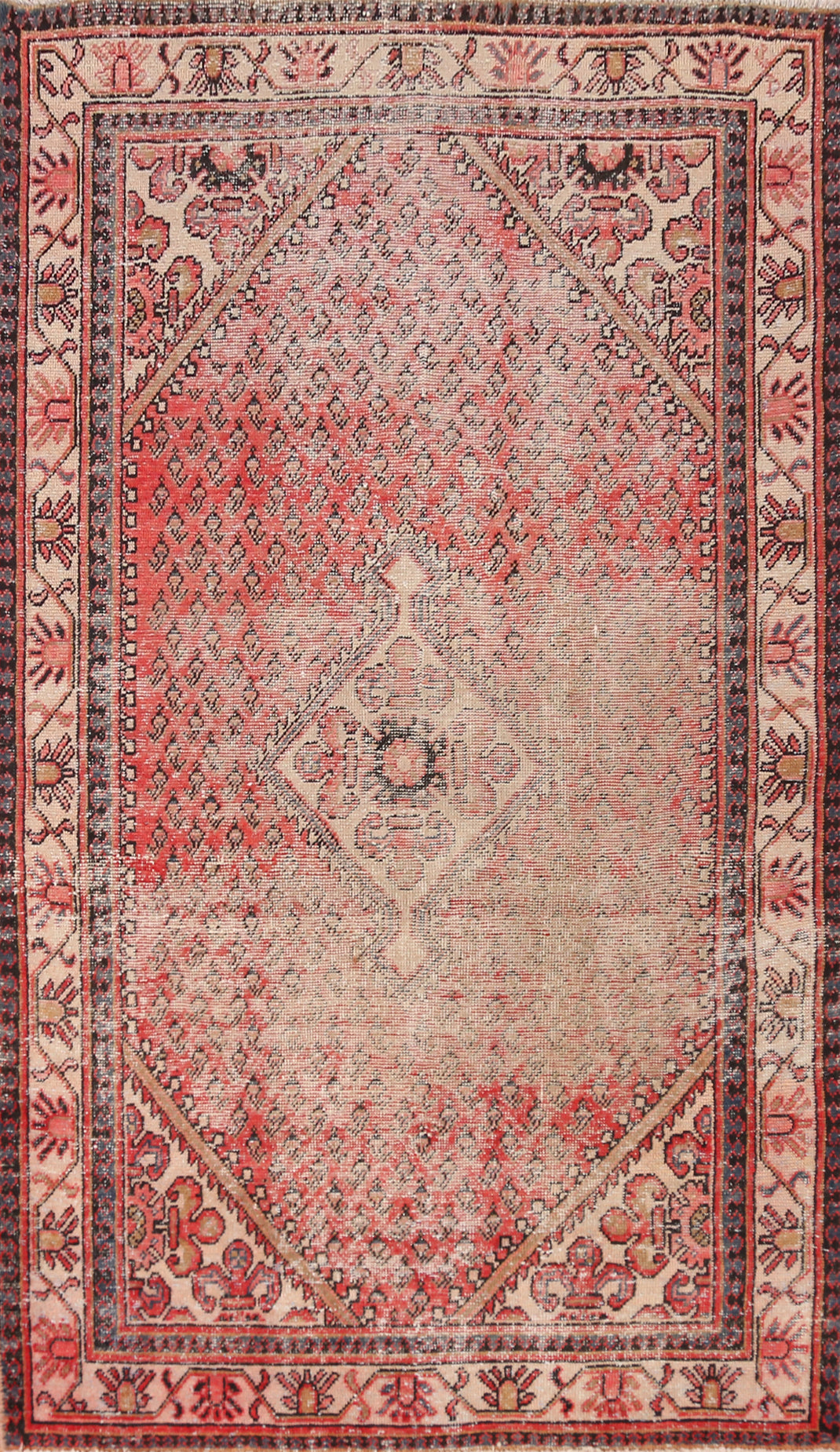 Geometric Botemir Persian Rug 4x7