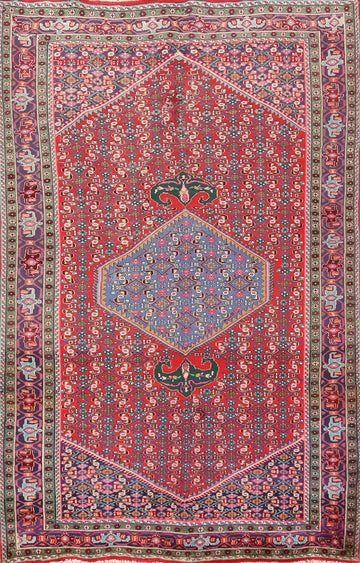 Geometric Bidjar Persian Area Rug 6x9