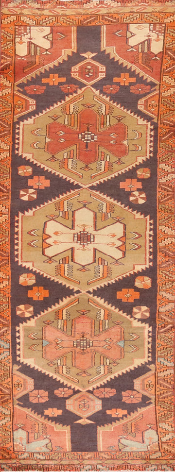 Geometric Meshkin Persian Runner Rug 3x10