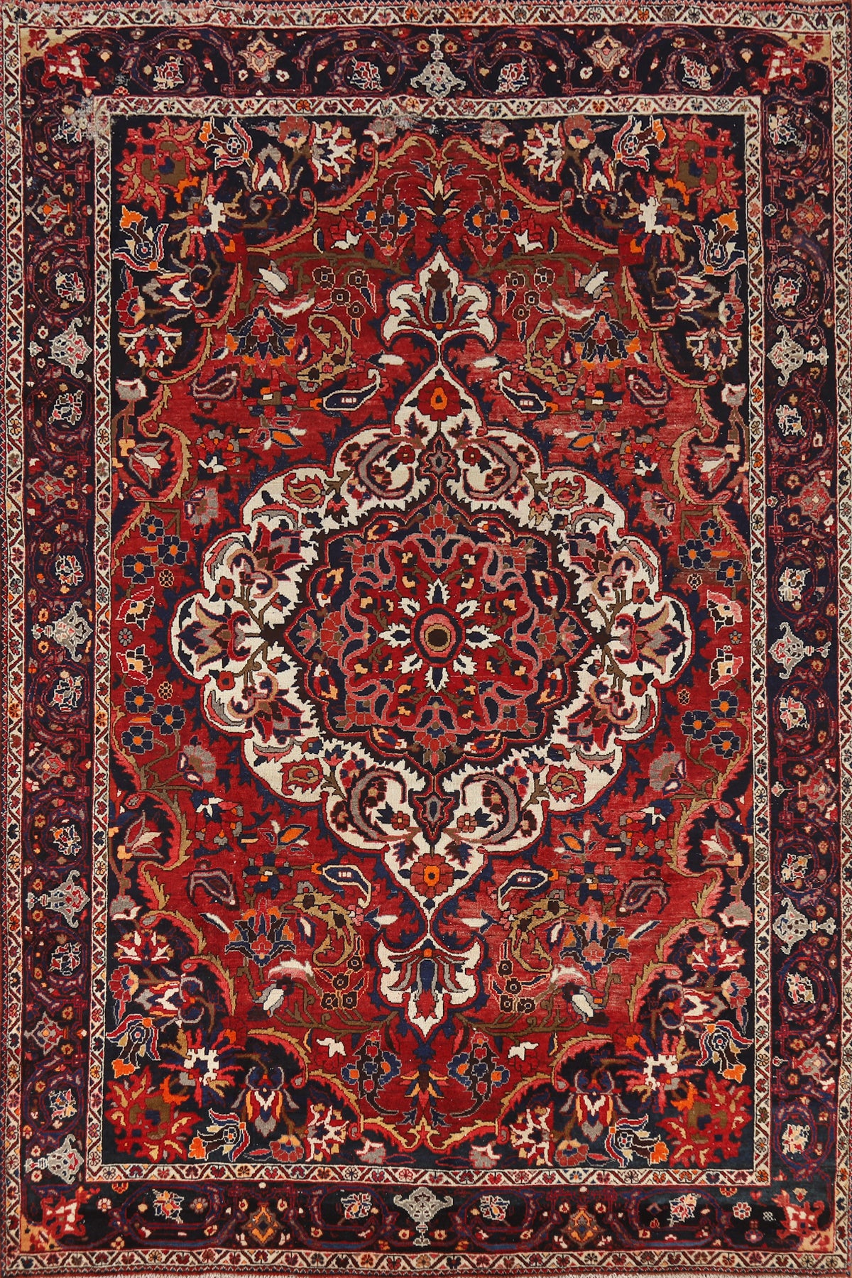 Floral Wool Bakhtiari Persian Area Rug 7x11