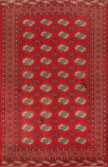 Red Wool Bokhara Oriental Area Rug 7x10