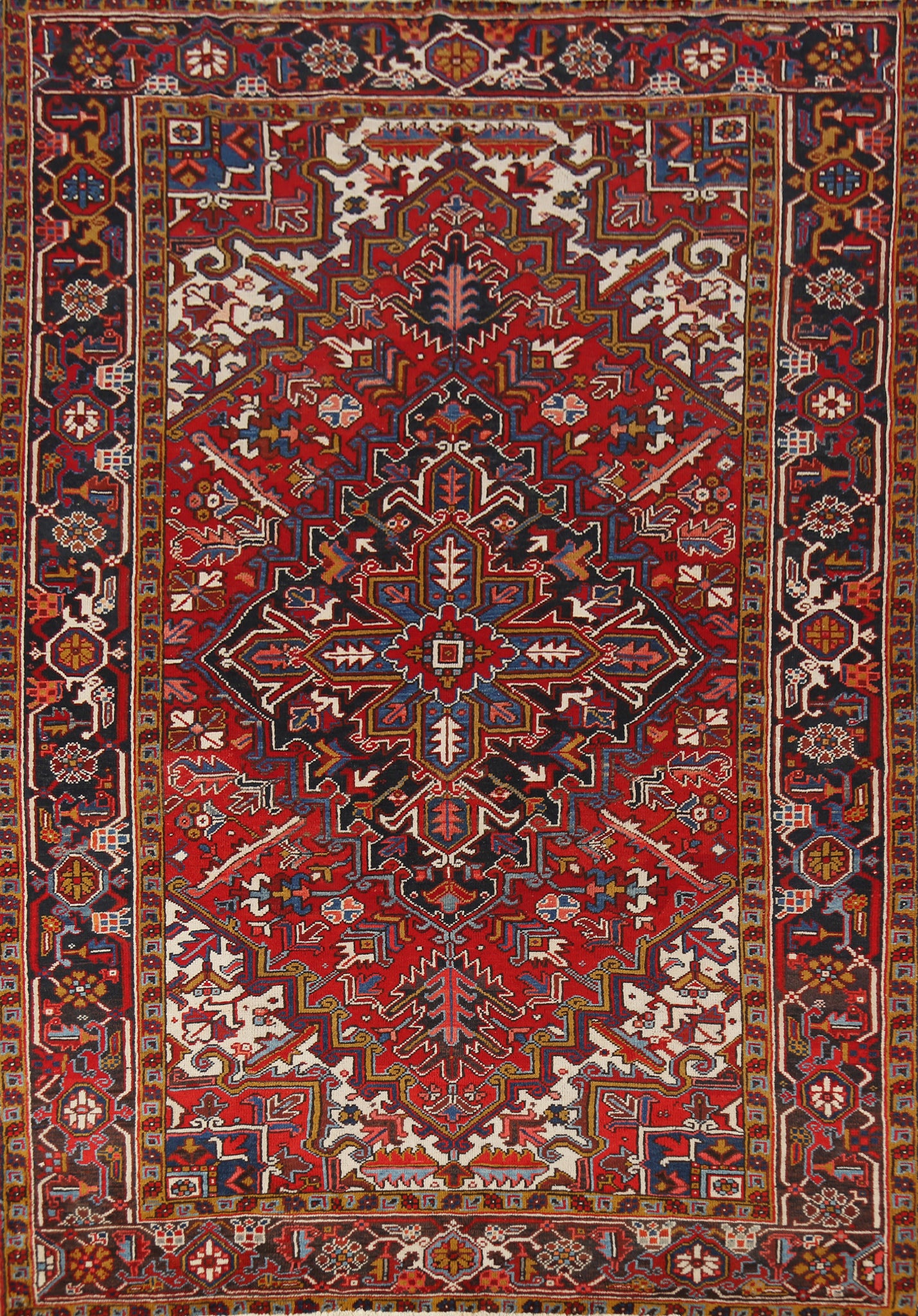 Geometric Heriz Persian Area Rug 6x9