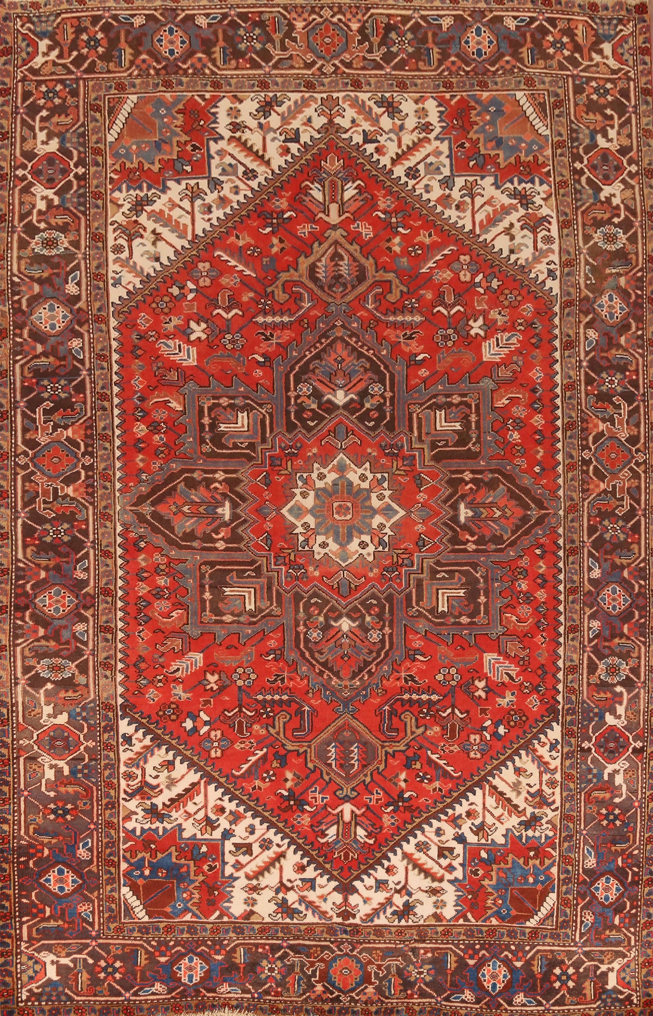 Geometric Heriz Persian Area Rug 7x10