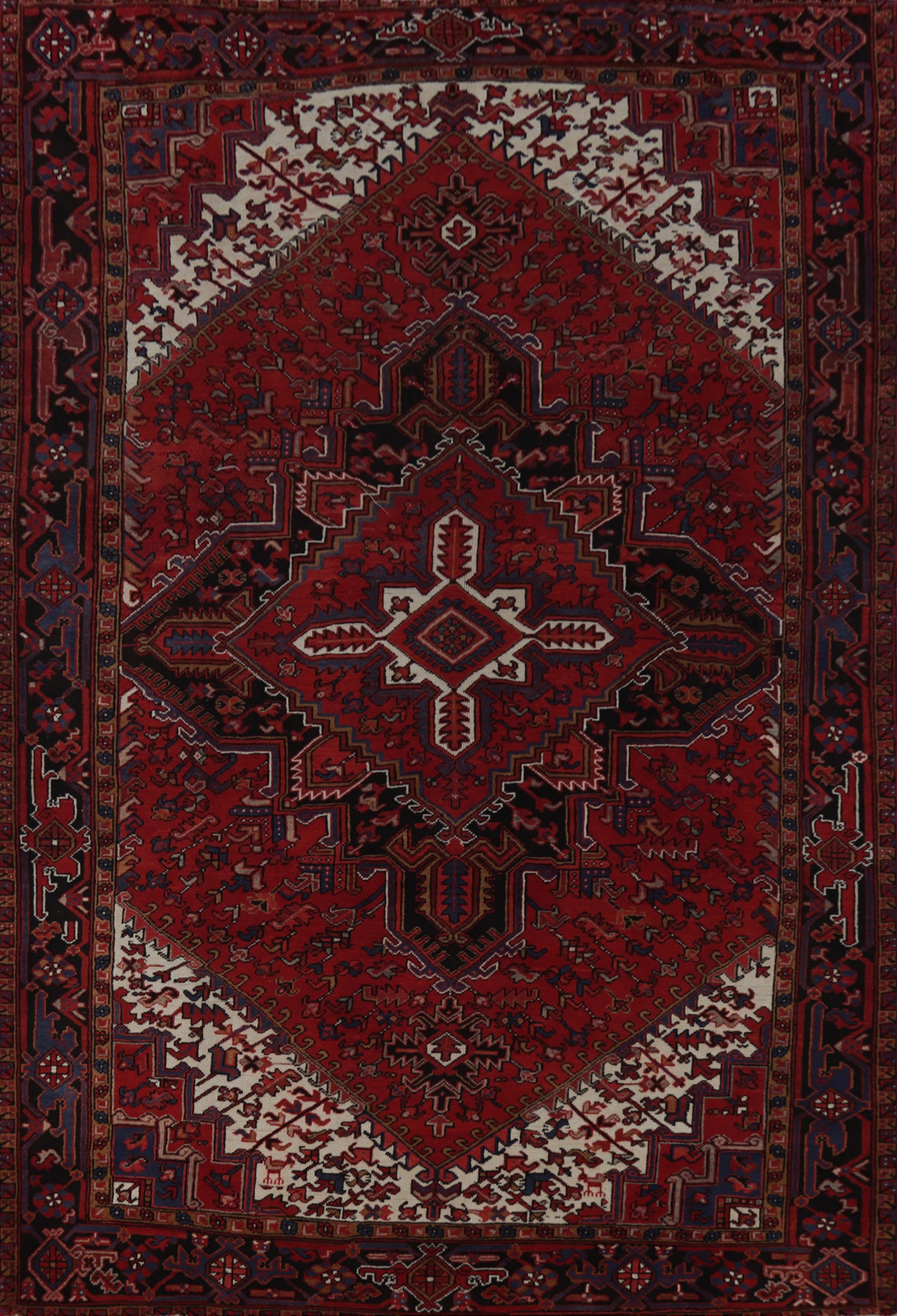 Geometric Heriz Persian Area Rug 8x11