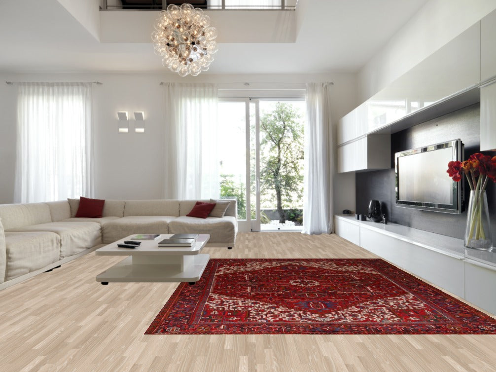 Geometric Red Heriz Persian Area Rug 10x13