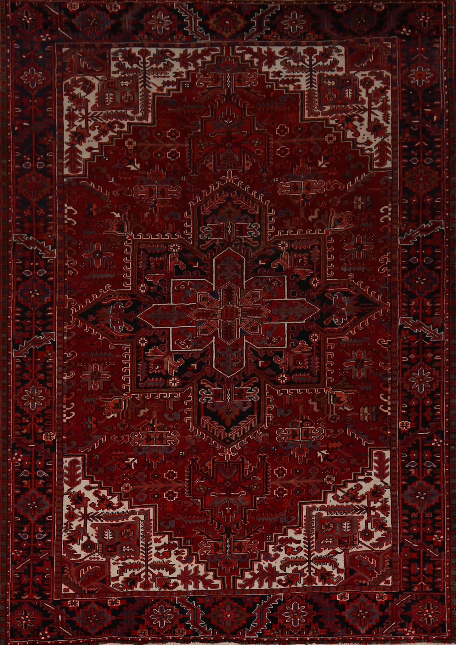 Red Wool Heriz Persian Area Rug 9x11