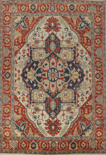 Geometric Heriz Serapi Indian Area Rug 9x12