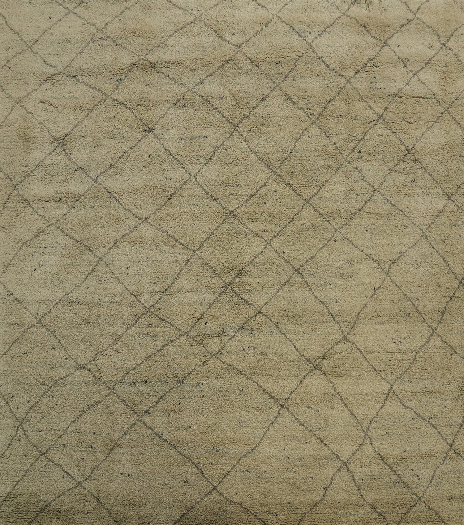 Trellis Moroccan Indian Area Rug 9x9