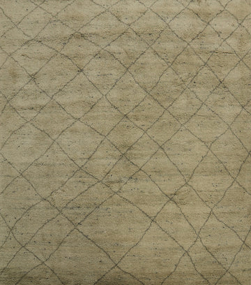 Trellis Moroccan Indian Area Rug 9x9