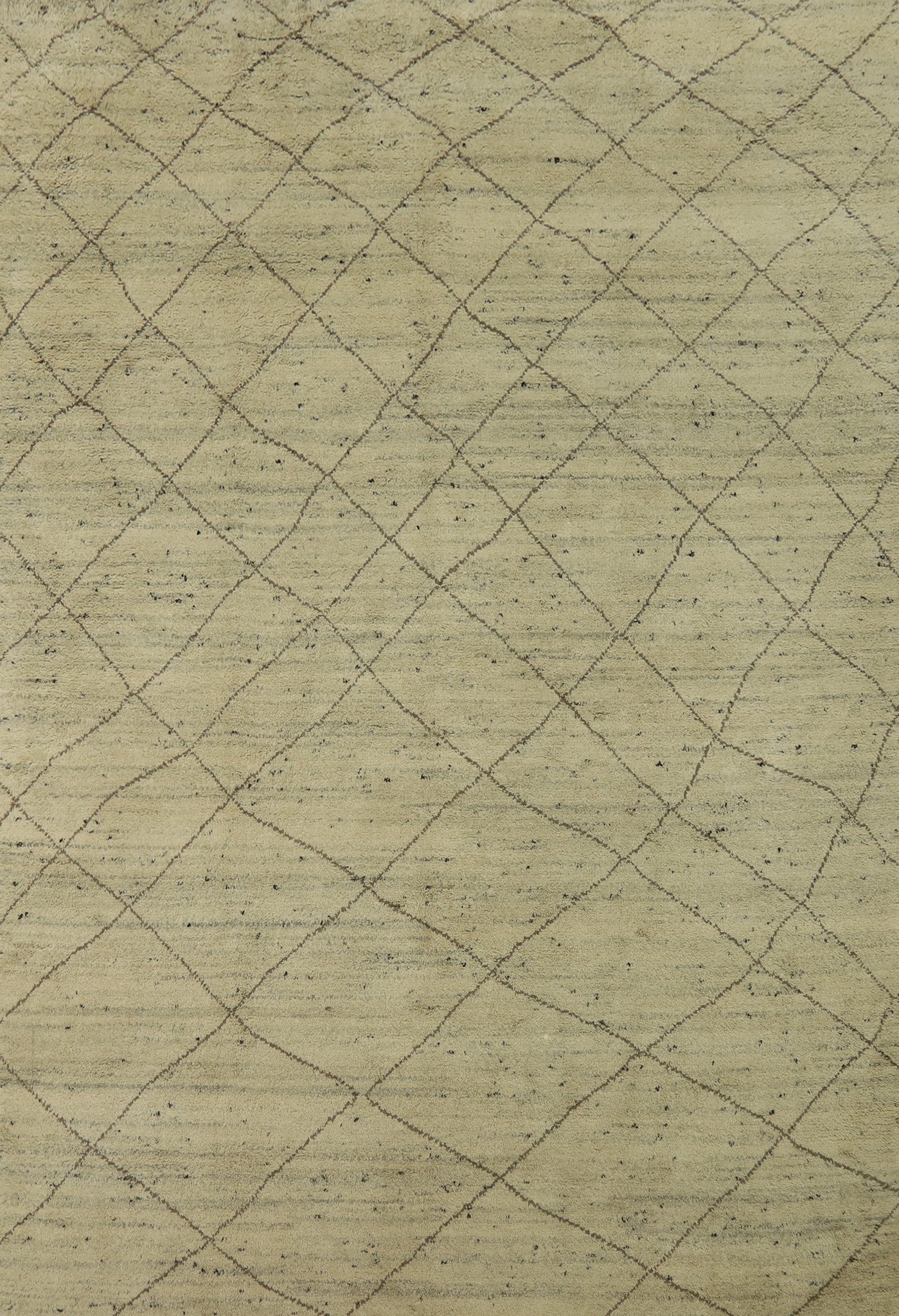 Trellis Moroccan Indian Area Rug 9x12