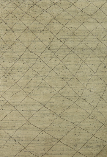 Trellis Moroccan Indian Area Rug 9x12