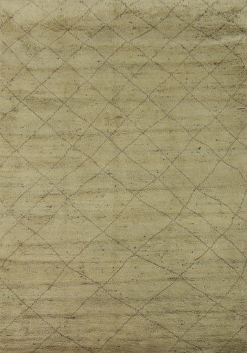 Handmade Trellis Moroccan Indian Area Rug 9x12