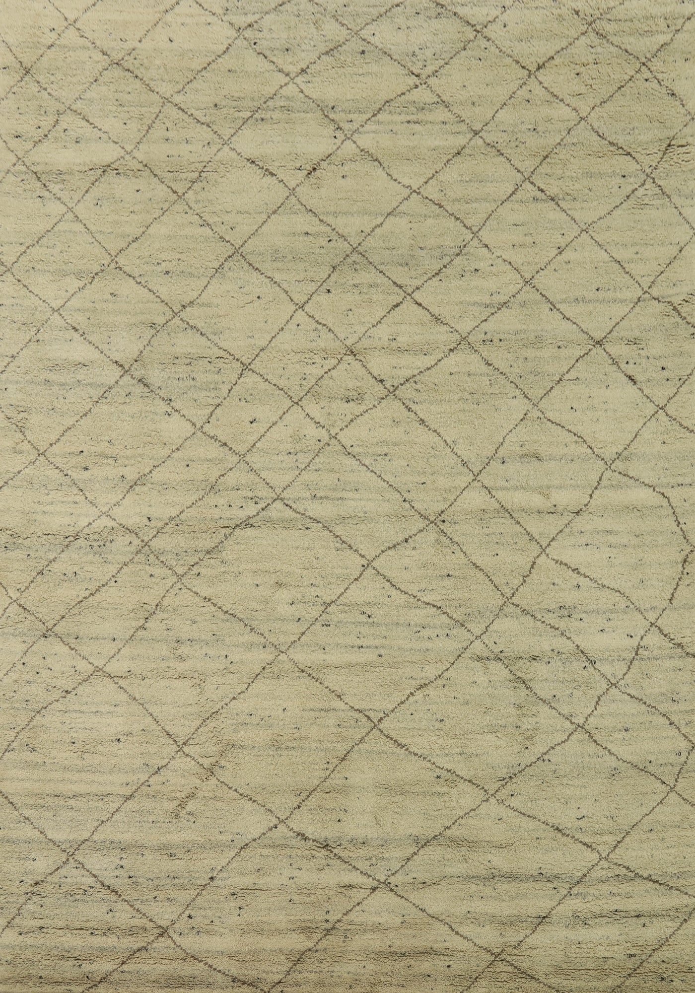 Trellis Wool Moroccan Indian Area Rug 9x12