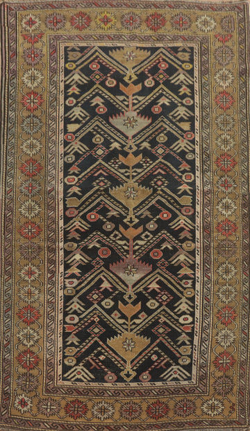 Pre-1900 Antique Shirvan Vegetable Dye Rug 4x6