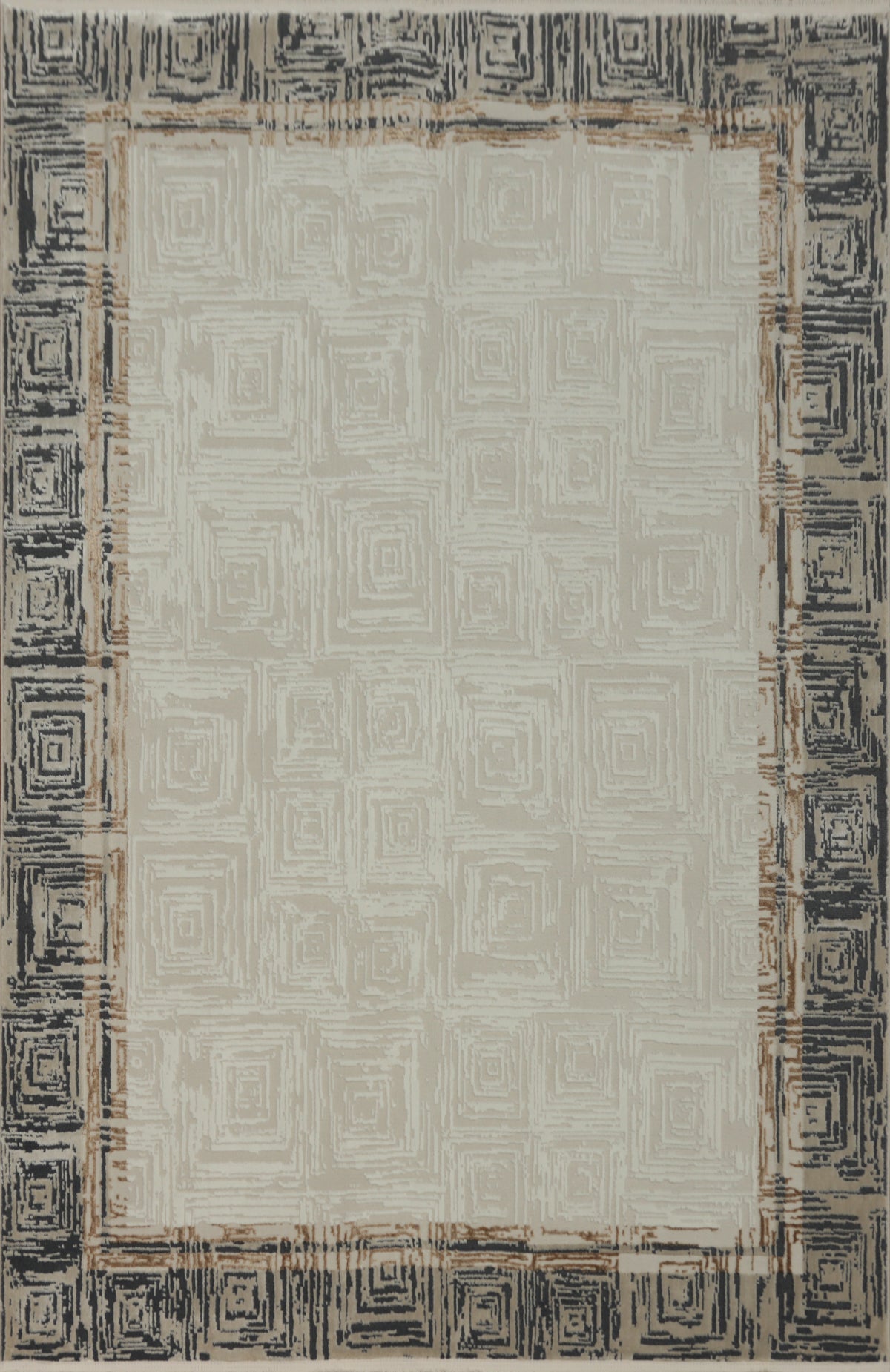 Stylish Indoor Rug 5x7 with Unique Swirl Pattern Border