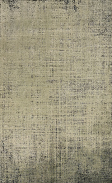 Modern Decor Style Elegant Textured Distressed Look Rug 5x7