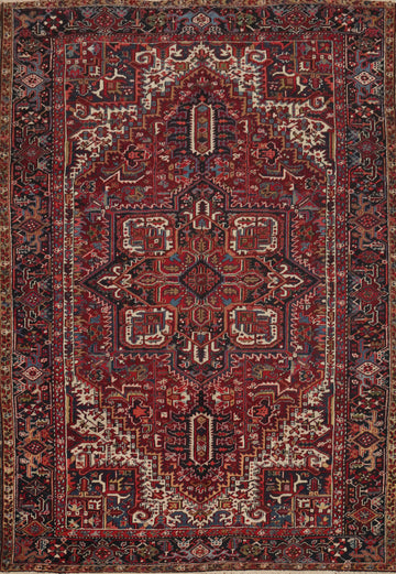 Geometric Heriz Persian Area Rug 9x12