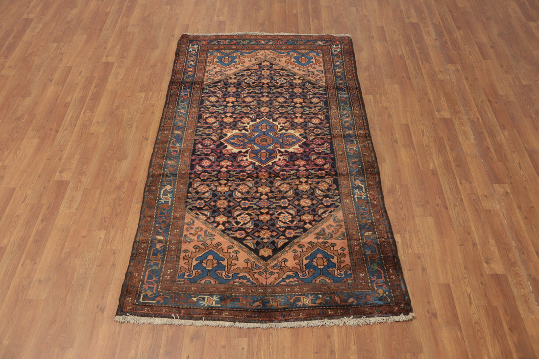 Vegetable Dye Hamedan Persian Rug 4x7
