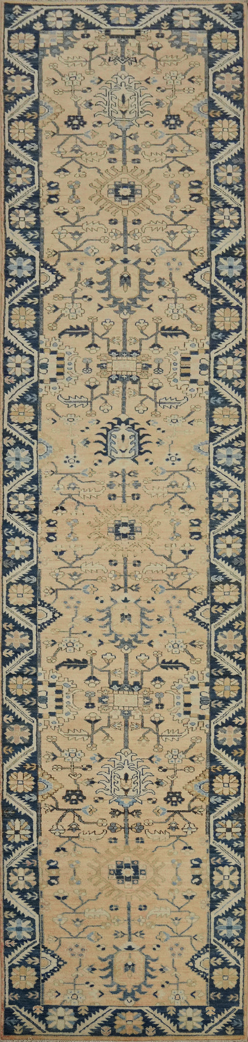 Vegetable Dye Ziegler Oriental Runner Rug 3x16