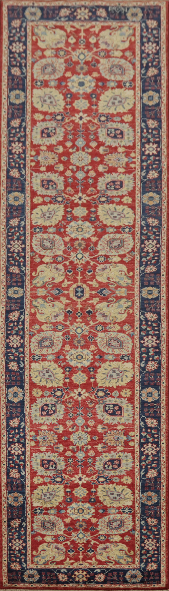 Classic Vegetable Dye Runner Rug 3x12 with Timeless Ornamentation