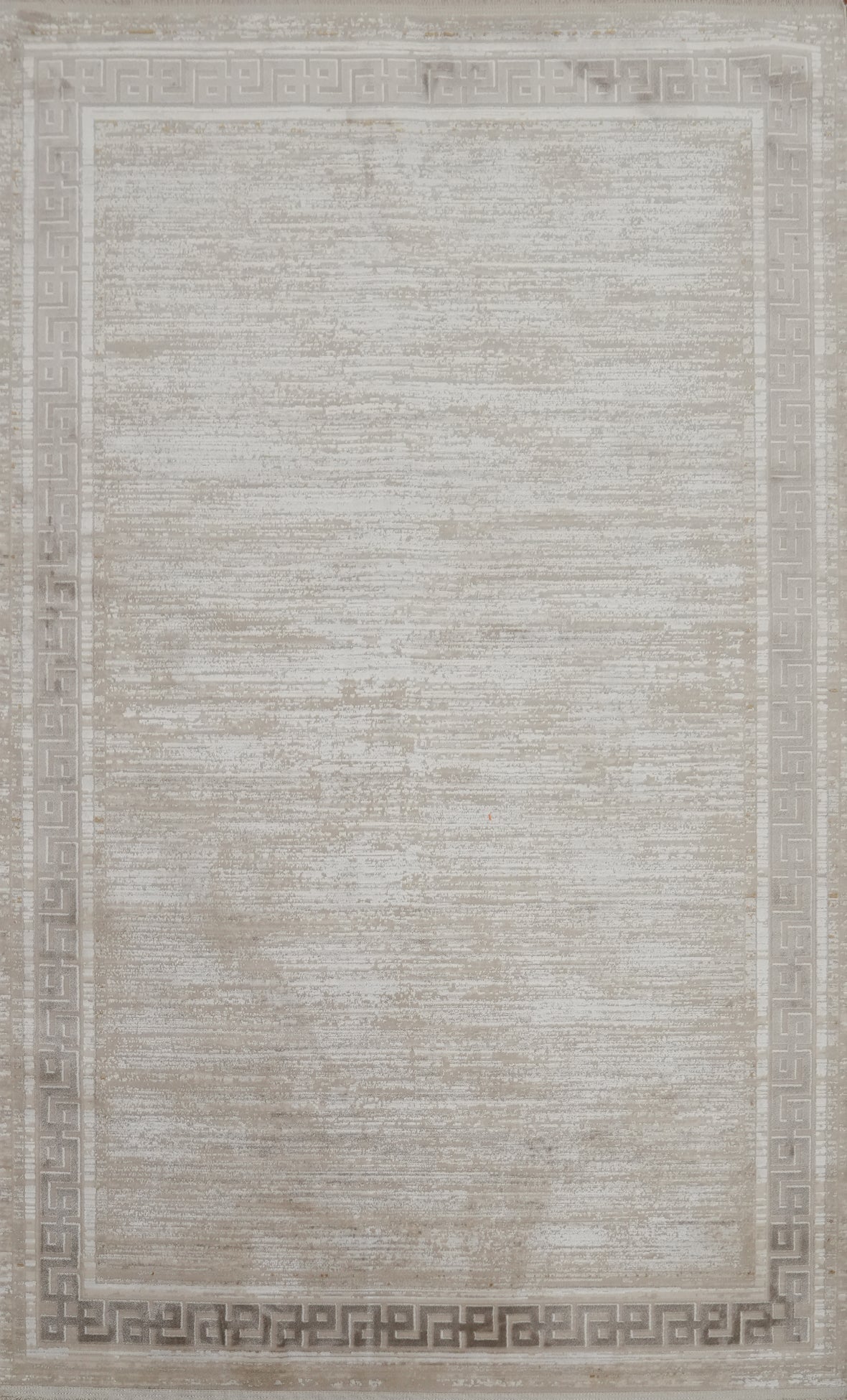 Sophisticated Neutral Rug 5x7 with Intricate Detailed Edging