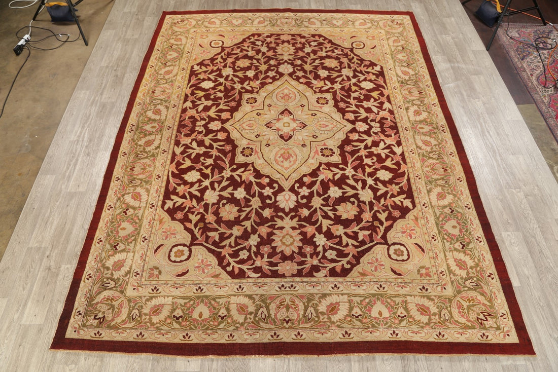 9x12 Agra Oriental Area Rug