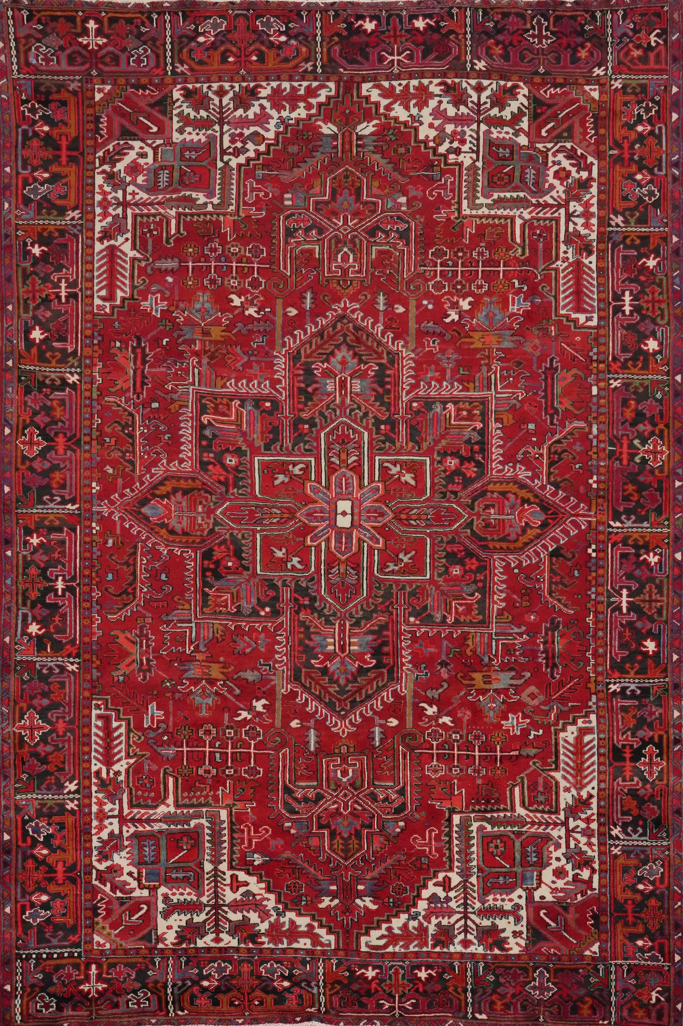 Vegetable Dye Red Heriz Persian Area Rug 9x12