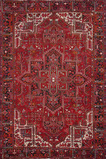 Vegetable Dye Red Heriz Persian Area Rug 9x12