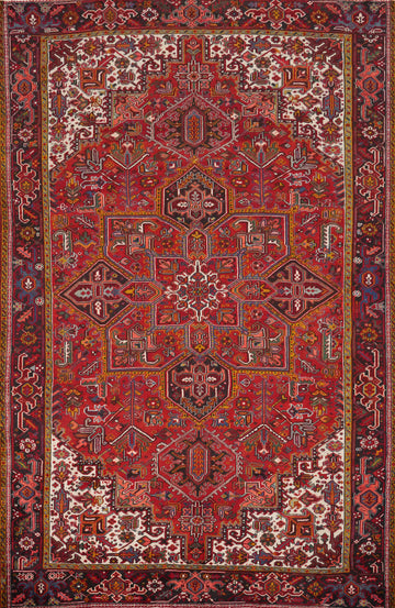 Red Vegetable Dye Heriz Persian Area Rug 9x12
