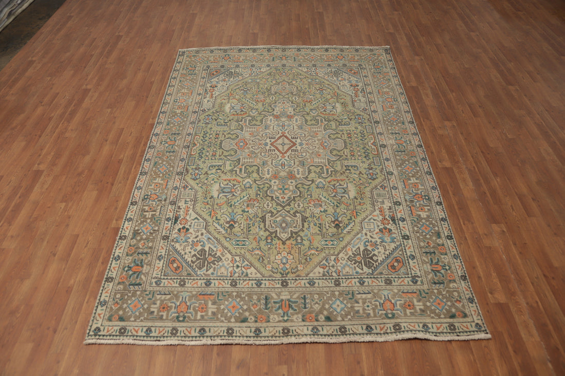 Elegant Tabriz Persian Rug 6x9 with Intricate Border and Medallion Design