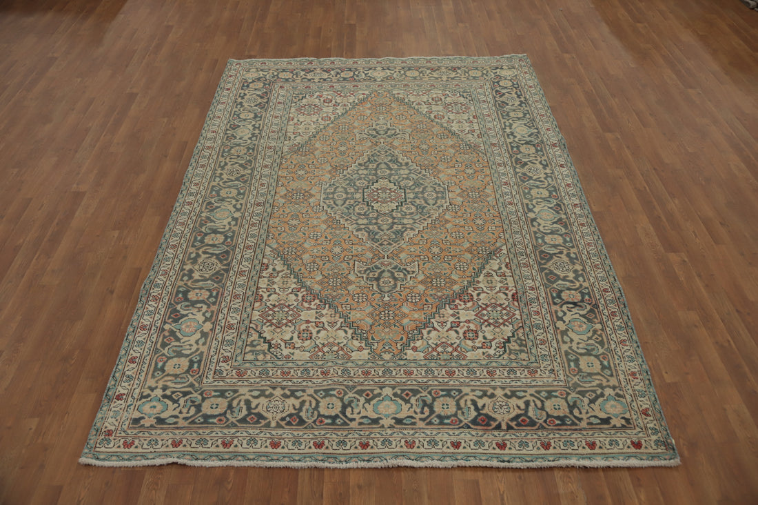Vegetable Dye Tabriz Persian Area Rug 7x10
