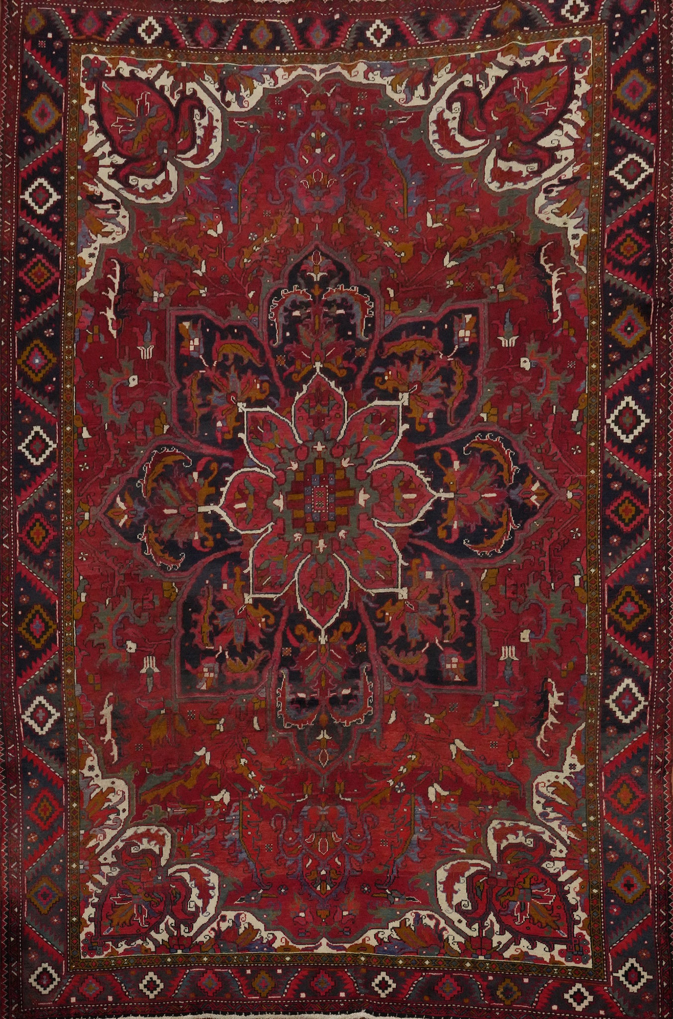Floral Red Heriz Persian Vegetable Dye Rug 9x13