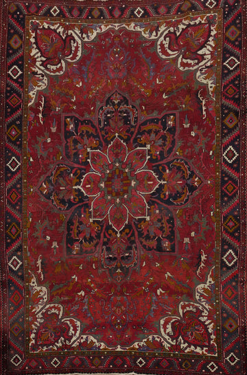 Floral Red Heriz Persian Vegetable Dye Rug 9x13