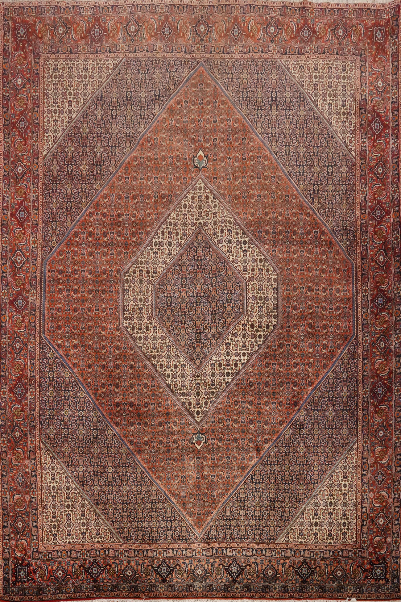 Vegetable Dye Bidjar Persian Area Rug 9x11