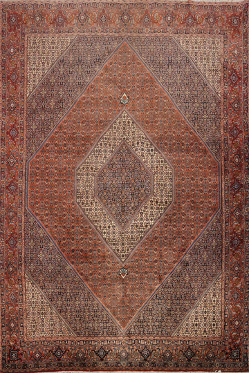 Vegetable Dye Bidjar Persian Area Rug 9x11