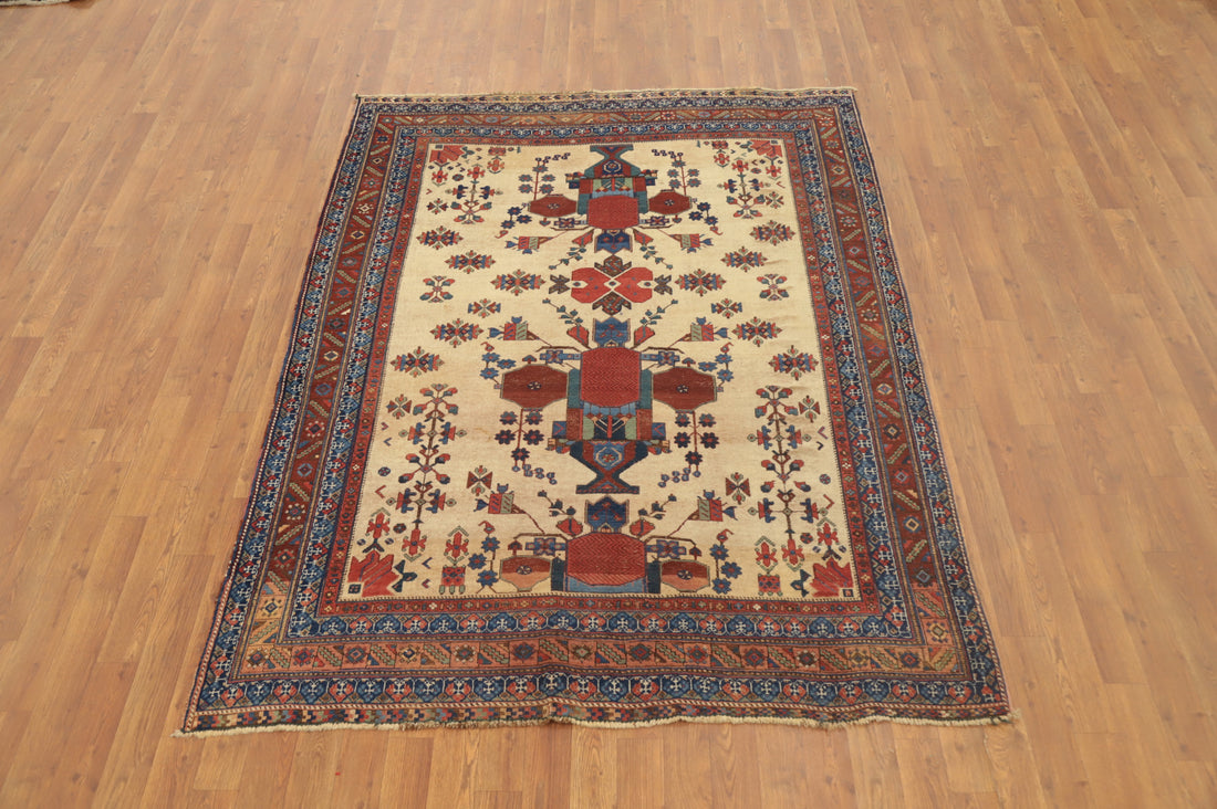 Antique Vegetable Dye  Sirjan Persian Rug 5x7