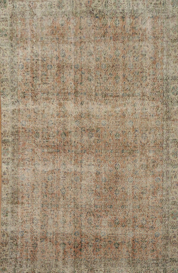 Vintage Charm: Distressed Exquisite Area Rug 6x9