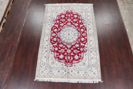 Floral Red Nain Persian Area Rug 6x10