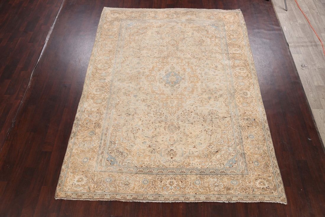Muted Distressed Kashan Persian Area Rug 8x11