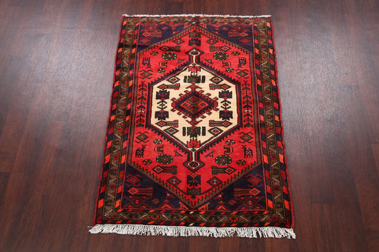 Tribal Hamedan Persian Area Rug 3x5