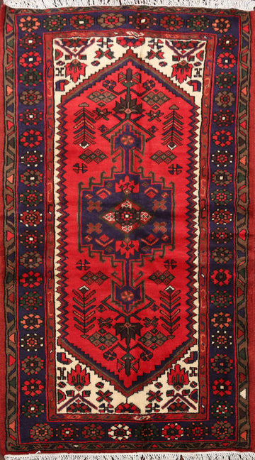 Geometric Hamedan Persian Area Rug 3x5