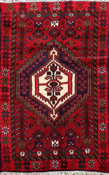 Tribal Hamedan Persian Area Rug 3x5