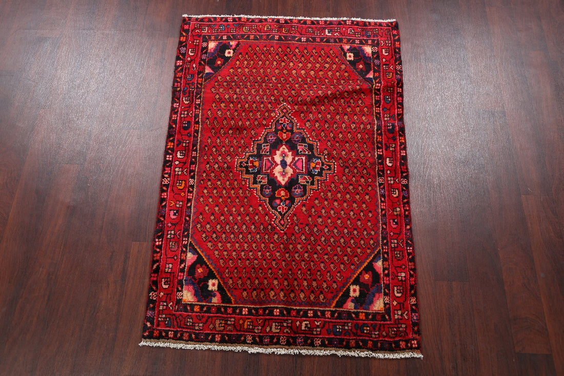 Geometric Hamedan Persian Area Rug 3x5