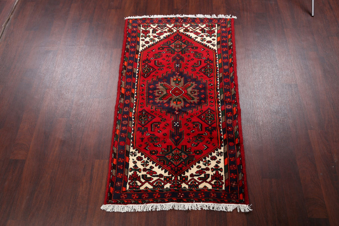 Tribal Hamedan Persian Area Rug 3x5