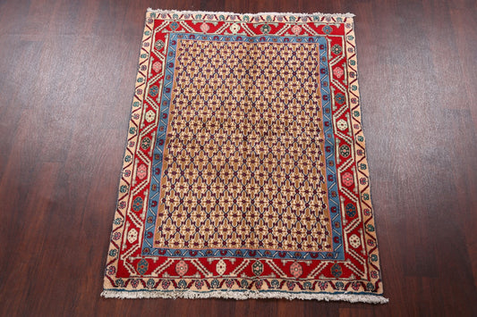 Geometric Sarab Persian Area Rug 3x5