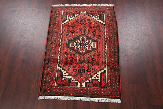 Tribal Hamedan Persian Area Rug 3x5