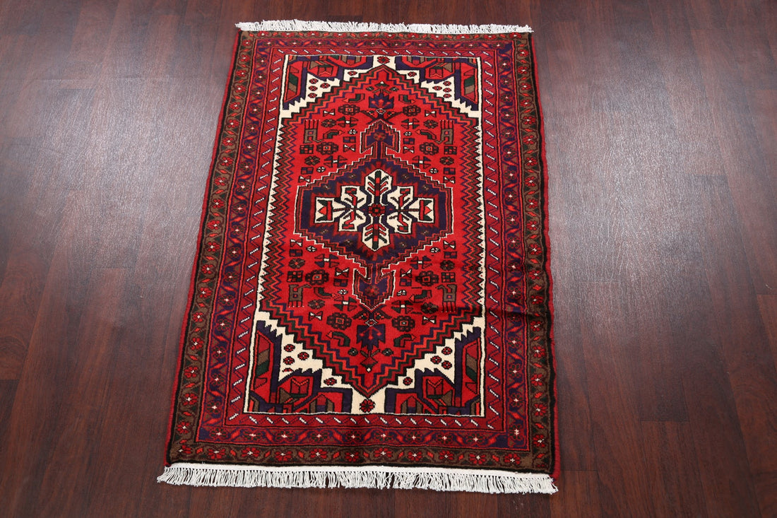 Tribal Hamedan Persian Area Rug 3x5