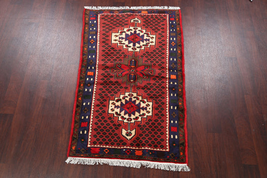 Geometric Hamedan Persian Area Rug 3x5