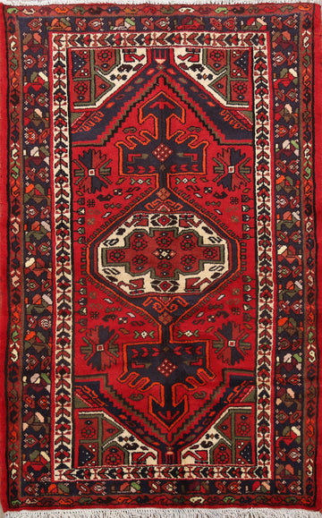 Geometric Hamedan Persian Area Rug 3x5